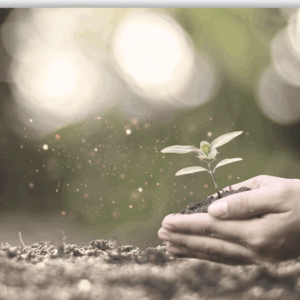 Reiki 1 - Ausbildung 23.08-24.08.2025