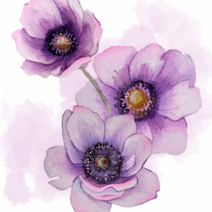 Geschenkkarte Vorlage zum Ausdrucken